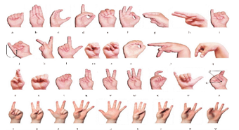 Sign Language Detection Using Hand Gestures