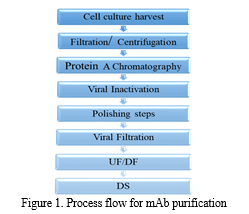 A Review on Downstream Processing of Monoclonal Antibodies (mAbs)