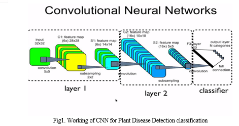 Plant Disease Classification using Convolution Neural Network