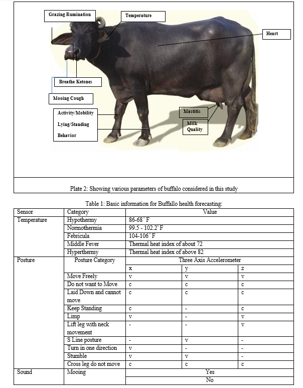 IoT-Based Buffalo Health Monitoring System