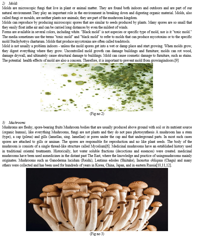 Medicinal Properties of Fungi with Special of Mould, Yeast and Mushrooms