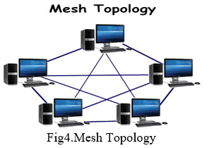 Computer Network Topologies