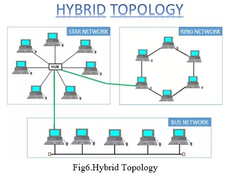 Computer Network Topologies